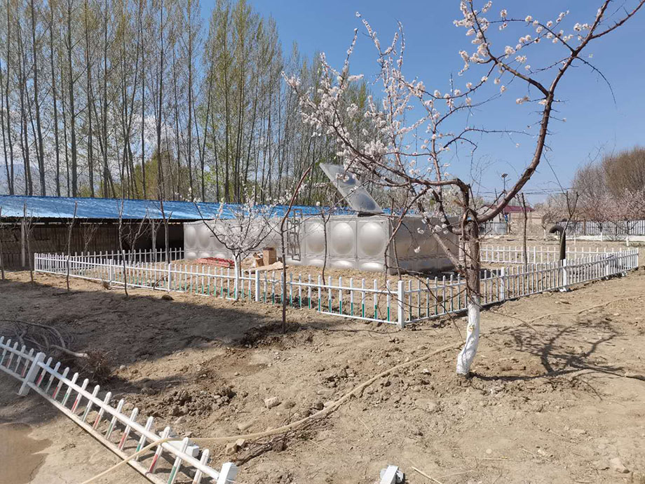 新疆伊犁十几个学校